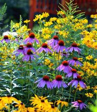 Load image into Gallery viewer, Original Oil Painting, West Coast View-Canada Landscape , Reflection of Mountain
