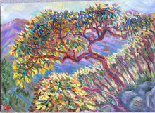 Load image into Gallery viewer, Original Oil Painting, Arbutus Trees on Mountain, 50cmx70cm, 1903141
