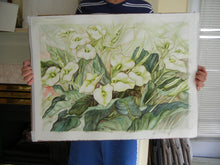 Load image into Gallery viewer, Original water color painting, large Size 22"x30", Calla Flower , green, white, leaves, 150129