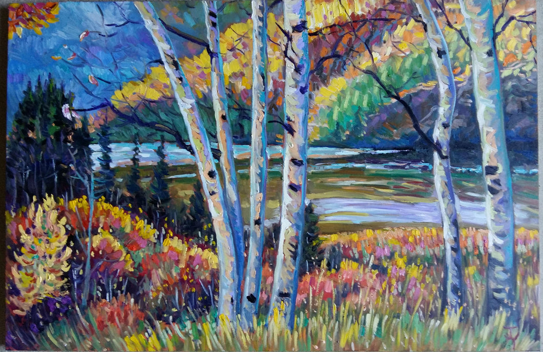 Original Oil Painting, Autumn Birch Trees, 47.5x31.5