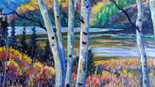 Load image into Gallery viewer, Original Oil Painting, Autumn Birch Trees, 47.5x31.5&quot;, 1808222, Free Shipping
