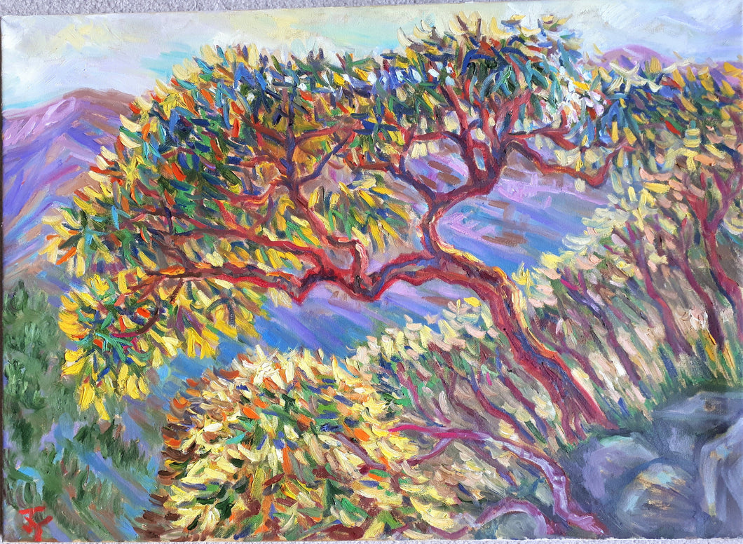 Original Oil Painting, Arbutus Trees on Mountain, 50cmx70cm, 1903141