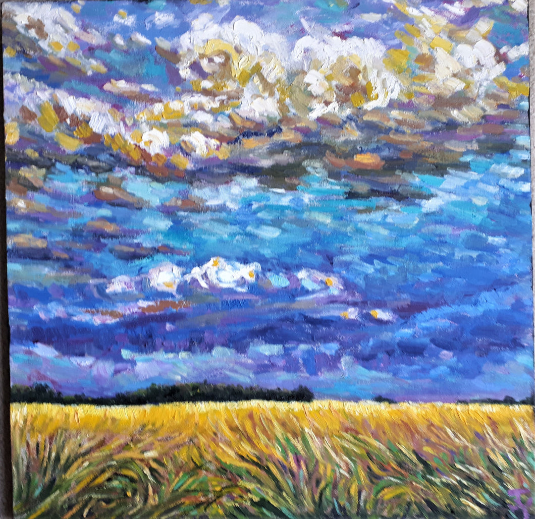 Original Oil Painting, Cloudy Field